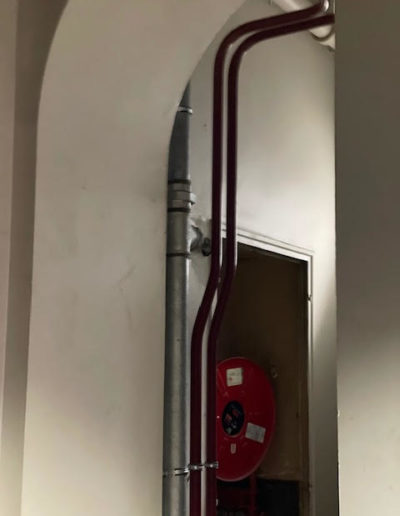 ppp17